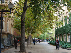 University of Melbourne Campus